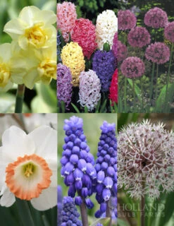 Menu Deer Resistant Spring Blooming Garden