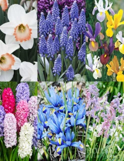 Menu Deer Proof Spring Garden